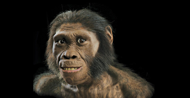 Ancient Human Relatives Climbed Like Apes
