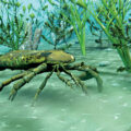 Dog-sized Sea ScorpionEnvironment News for Kids