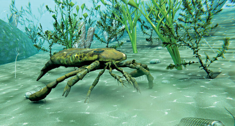Dog-sized Sea Scorpion That Once Ruled Chinese Seafloor