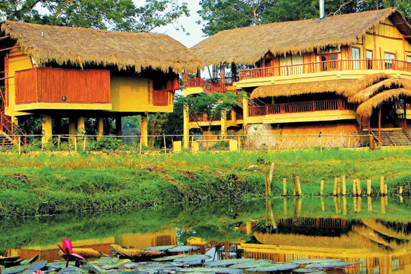 Tripura Builds Multi-purpose Bamboo Park
