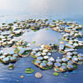 World’s First Floating City - News for Kids