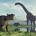 Dinosaur Found in BrazilEnvironment News for Kids