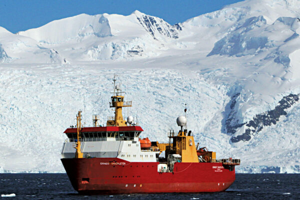 Invasive Species Find Their Way to Antarctica