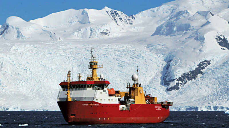 Invasive Species Find Their Way to Antarctica