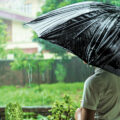 Delhi Sees Record-breaking January Rains - News for Kids