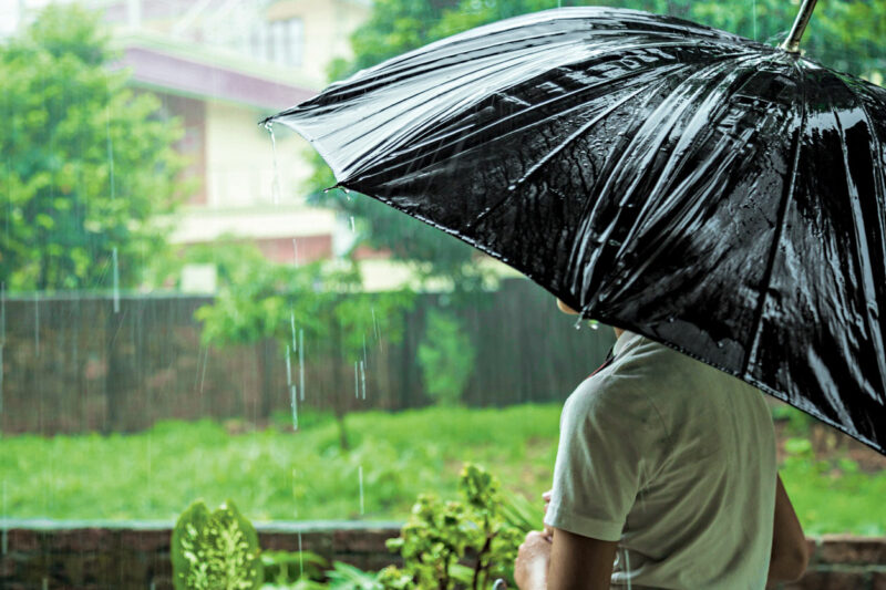 Delhi Sees Record-breaking January Rains