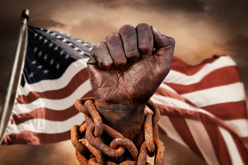 Protesting Prejudice: The American Civil Rights Movement (1950-1960 ...