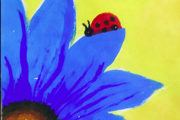 Blue Sunflower