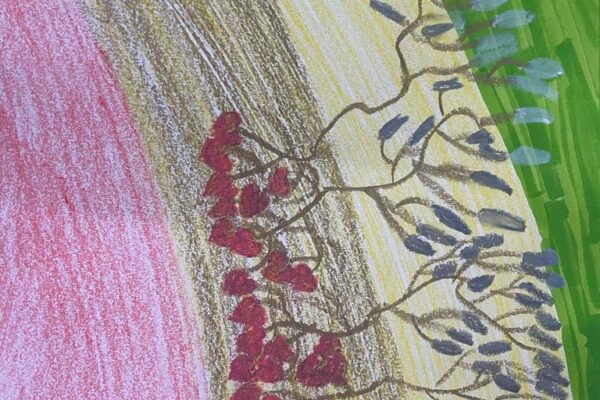 Plants Life