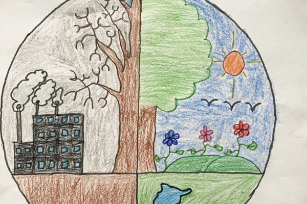 Save Trees Save Earth