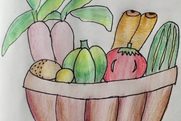 Vegetable Basket