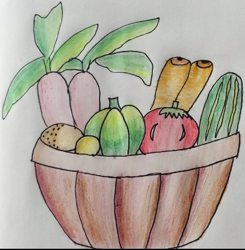 Learn How to Draw Vegetable Basket (Vegetables) Step by Step : Drawing  Tutorials