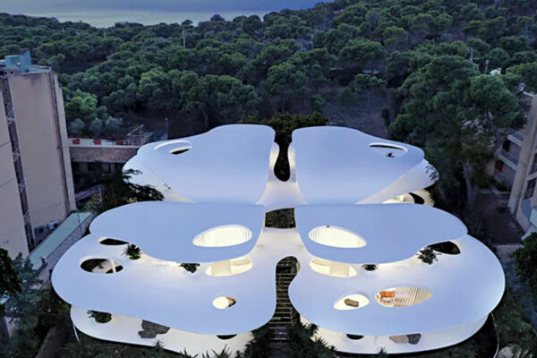 Butterfly-shaped House Up for Sale