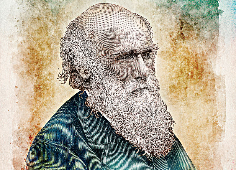 Darwin’s Stolen Notebooks Returned