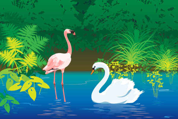 The Flamingo and the Swan