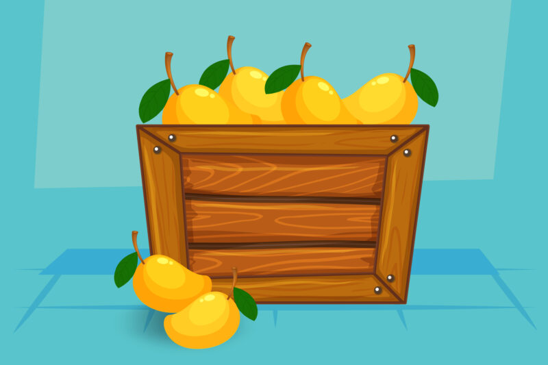 Mango – The King of Fruits