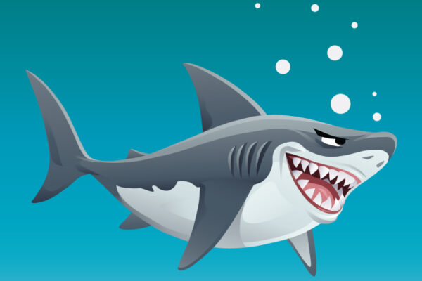 The Toothless Shark