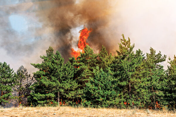 Europe’s Warmest Summer