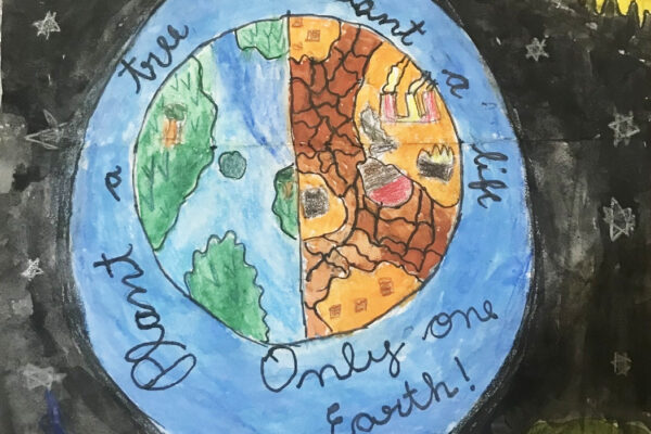 Plant a Tree, Plant a Life