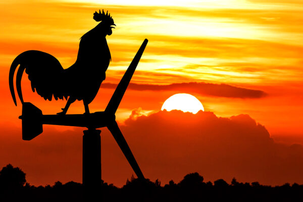 Grandma’s Tales: The Rooster and the Sun 