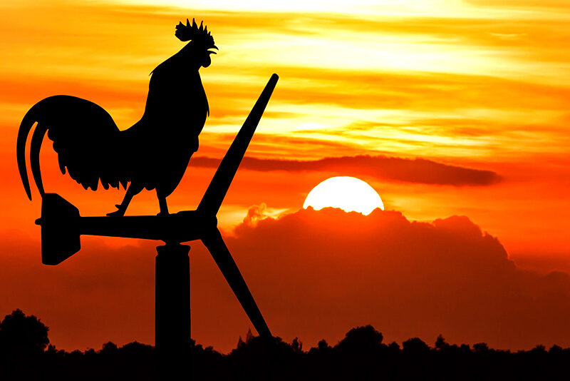 Grandma’s Tales: The Rooster and the Sun