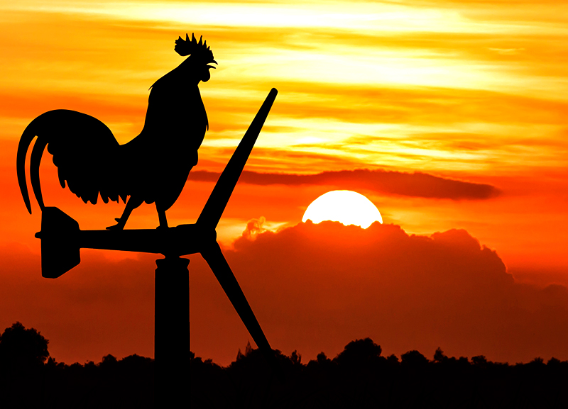 Grandma’s Tales: The Rooster and the Sun 