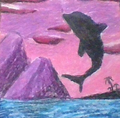 Dolphin in The Night