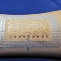 E-Tattoo to Monitor Blood Pressure  - News for Kids