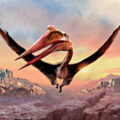 Fossil of Huge Flying Reptile Unearthed - News for Kids