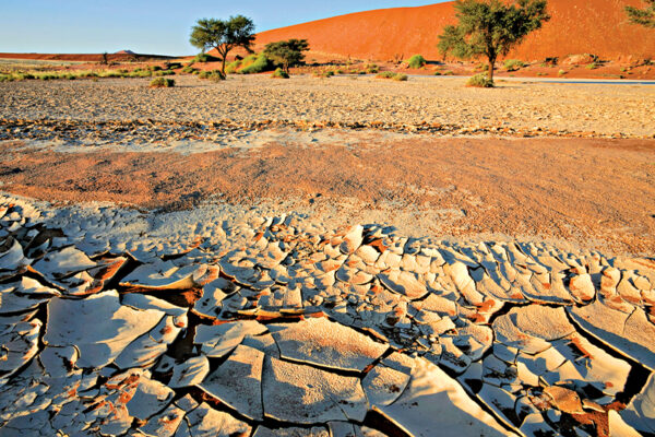 Heat Waves to Increase in South Asia 