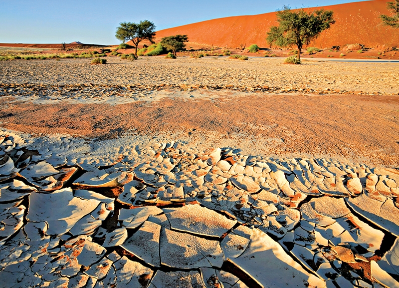 Heat Waves to Increase in South Asia 