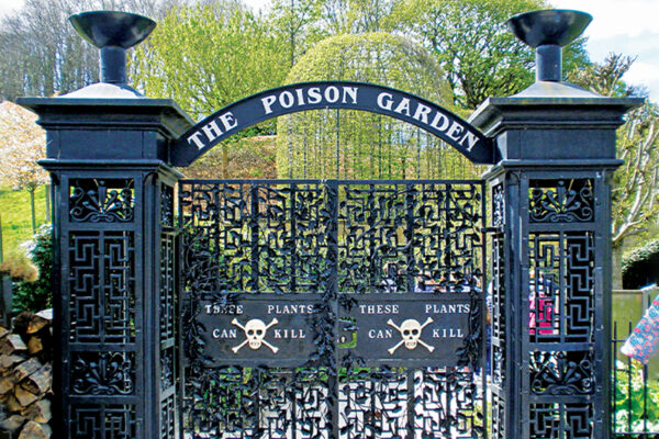 Garden of Dangerous Plants 