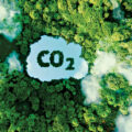 World’s Biggest Carbon Dioxide Capturing Plant  