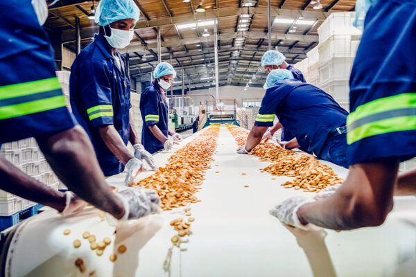 Tracing Change: The Indian Food Processing Industry 