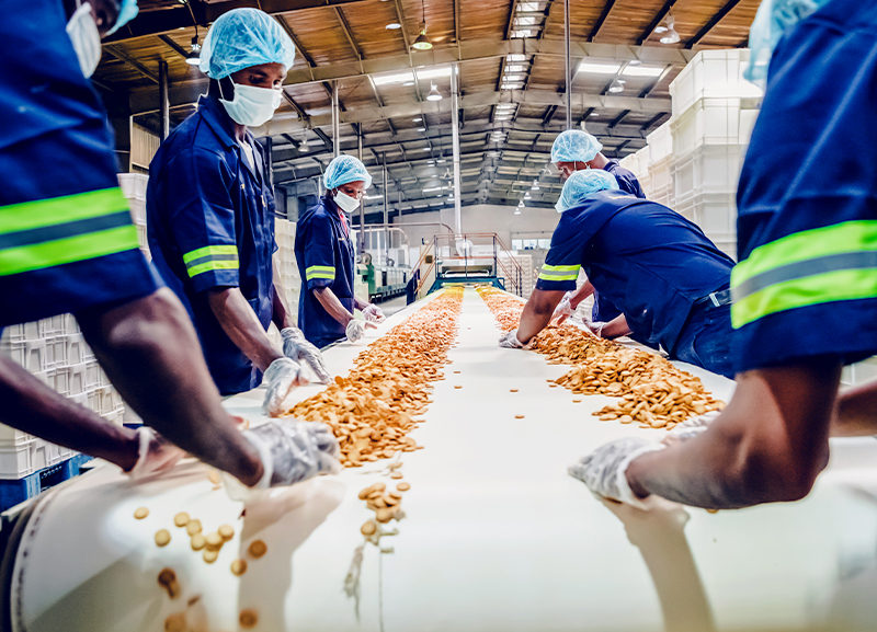 Tracing Change: The Indian Food Processing Industry 