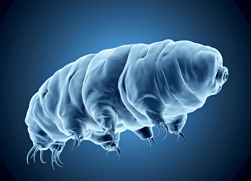 New Underwater Life Discovered