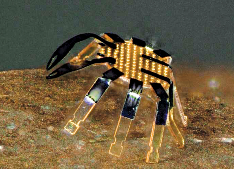 World’s Smallest Remote-controlled Robots