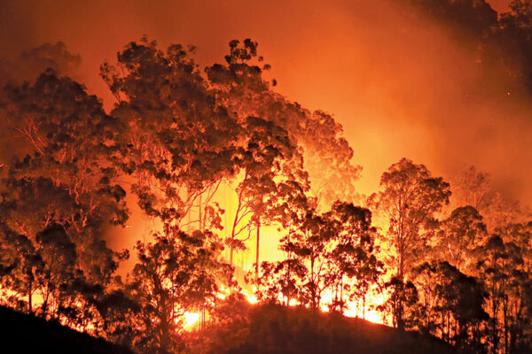 Deterioration of Australia’s Environment