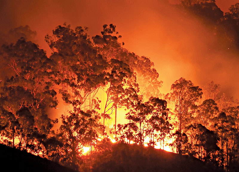 Deterioration of Australia’s Environment