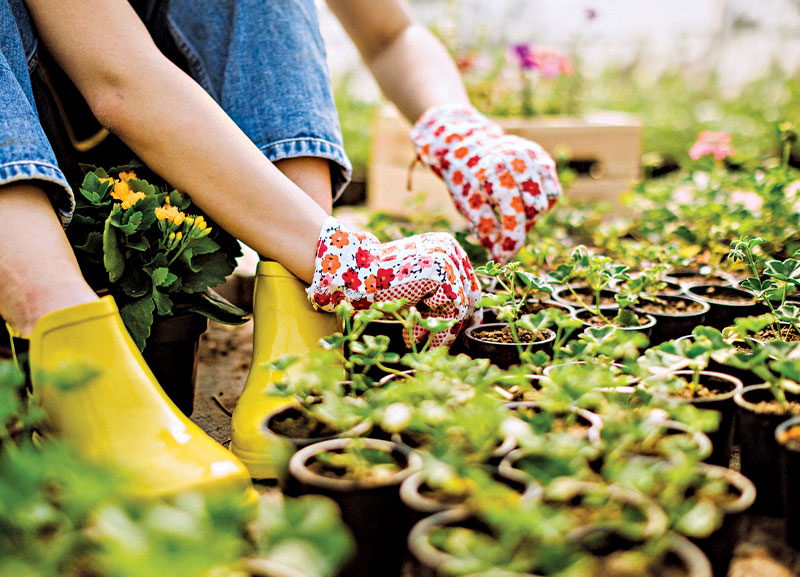 Horticulturist