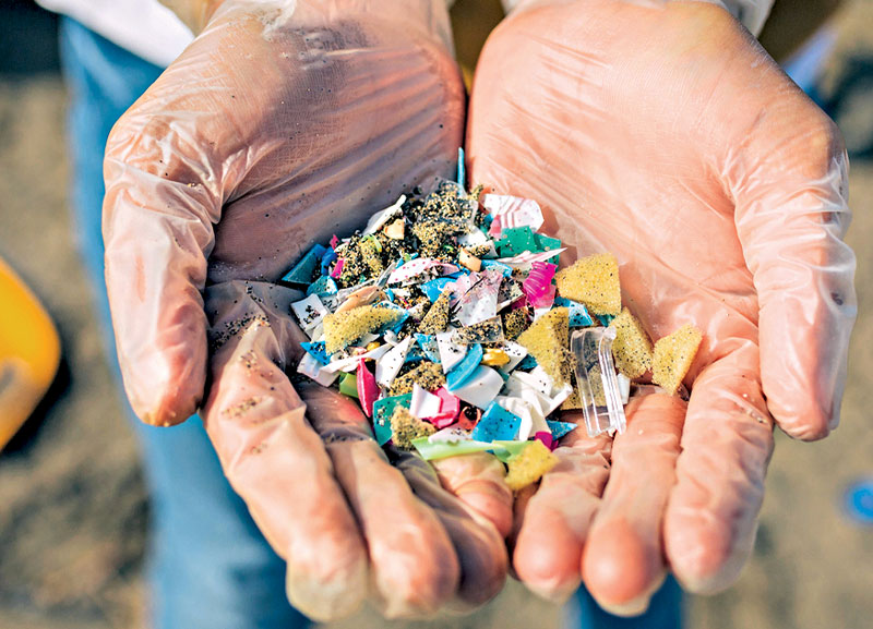 Robot Fish That Eat Microplastics