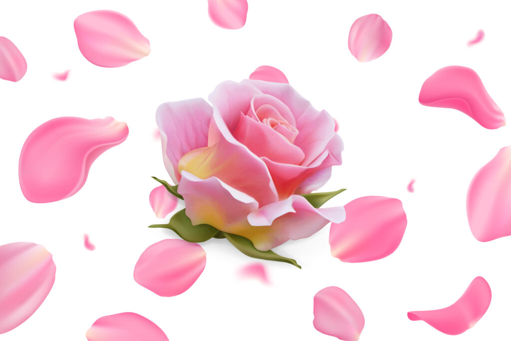 Roses of Marina - RobinAge