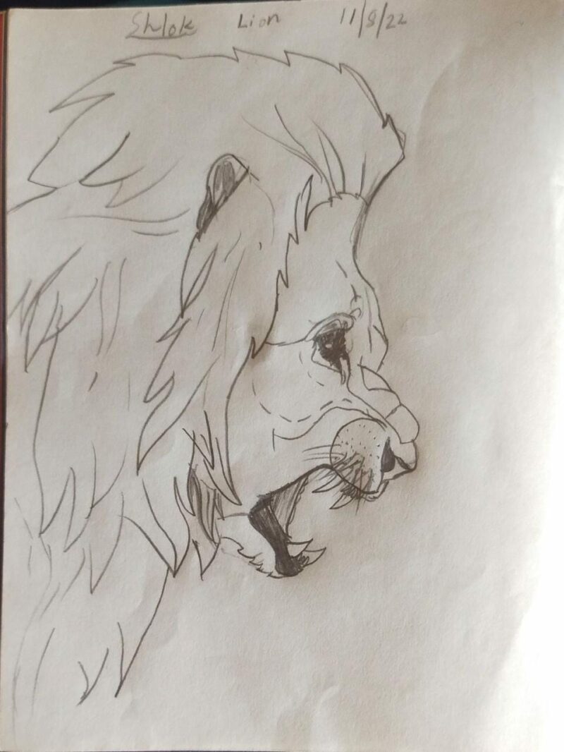 Lion