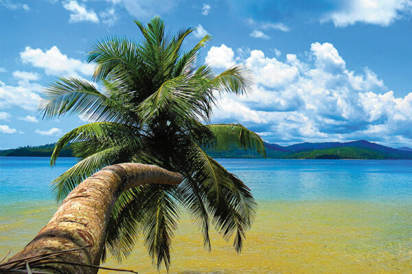 Andaman & Nicobar Islands: Paradise at Sea