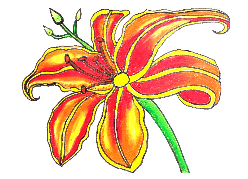 Georgia O’Keeffe Flower