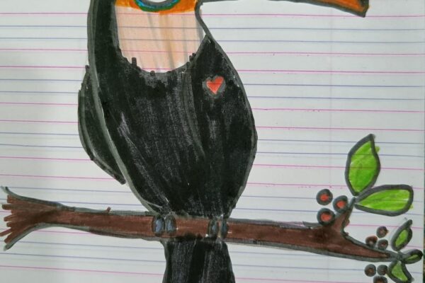Cute Toucan