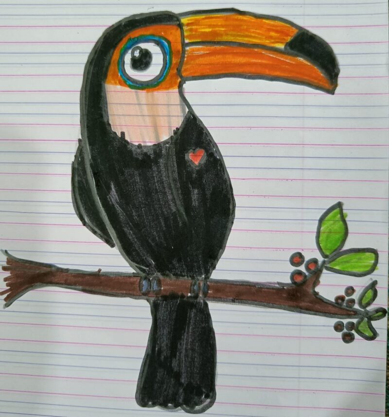 Cute Toucan