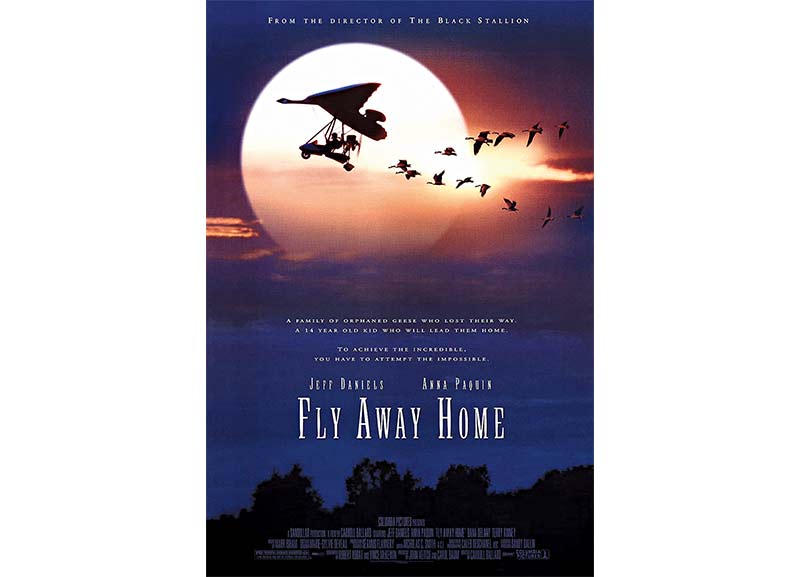 Fly Away Home