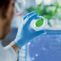 Scientists Discover Satellite Around Polymele - News for Kids