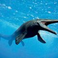 Fossil of Huge Sea Lizard Found - News for Kids